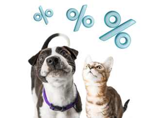 Купи Пронефра со скидкой