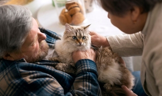 Купить Пронефра в Москве с реальными отзывами хозяев