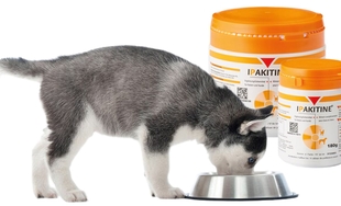 Покупка, распаковка и использование препарата Ипакитине