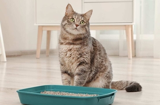 Какие симптомы говорят о болезни почек