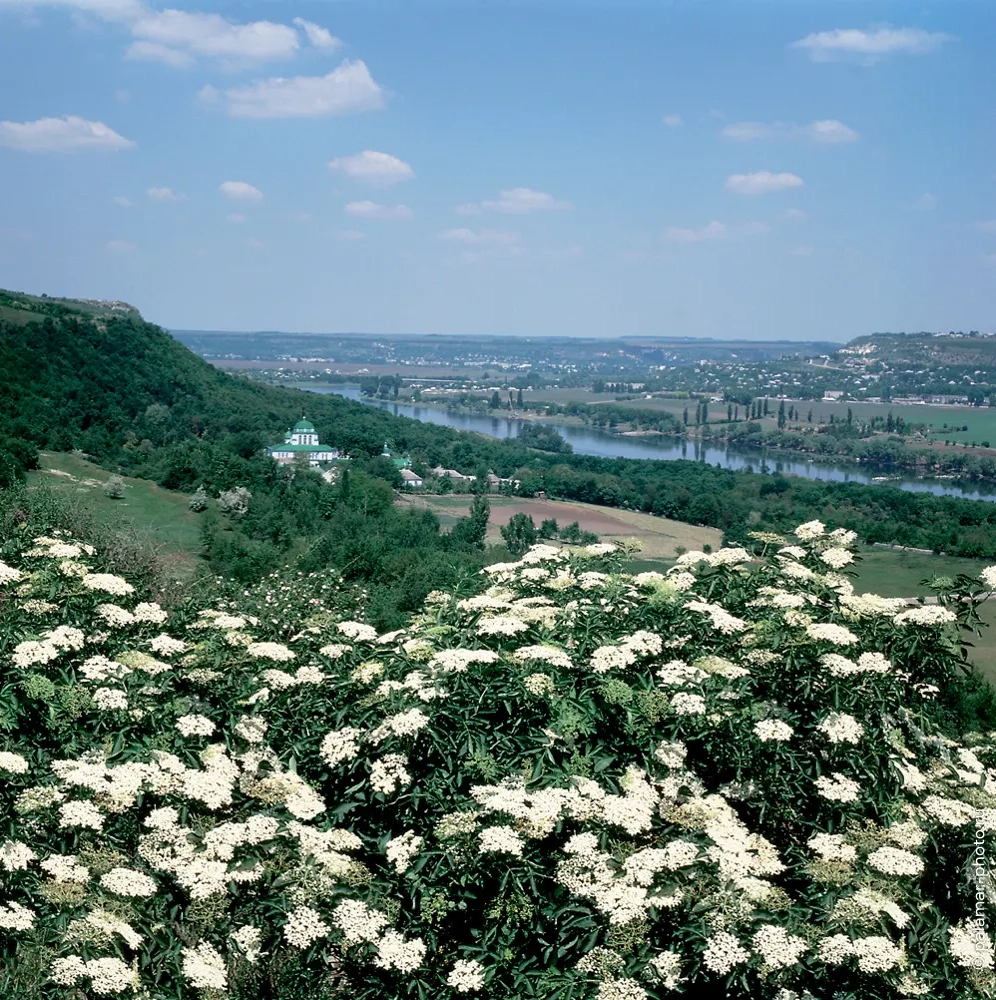 фото А. Паламарь 