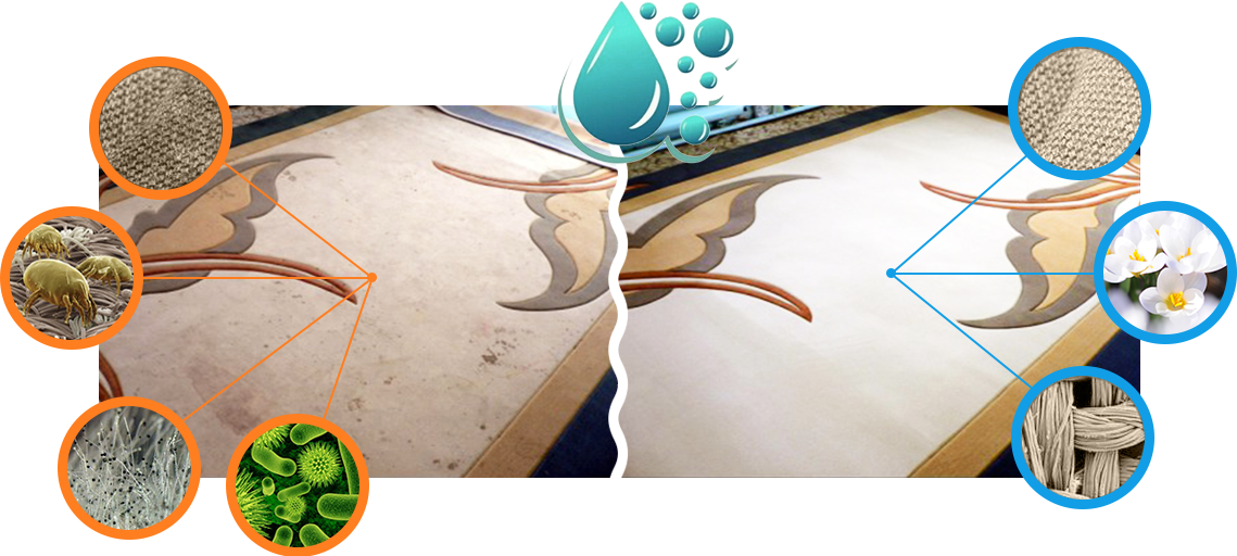 Химчистка Ковров В Москве С Вывозом Недорого