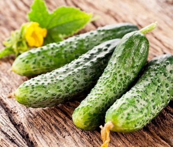 доставка продуктов, заказать продукты, интернет магазин продуктов, купить овощи, купить овощи и фрукты, купить продукты, купить фрукты, магазин продуктов, овощи, овощи и фрукты, продукты, продукты Москва, продукты питания, фрукты, 