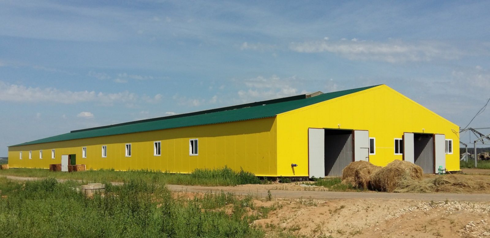Картинка коровник