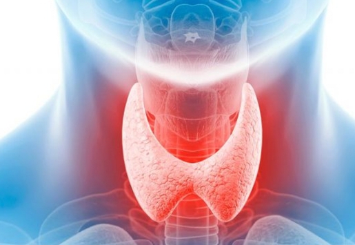 Купить Novothyral по доступной цене