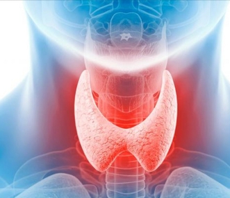Купить Novothyral по доступной цене