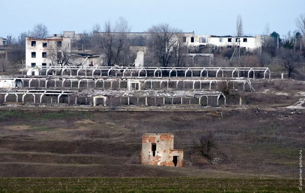 фото А. Паламарь 