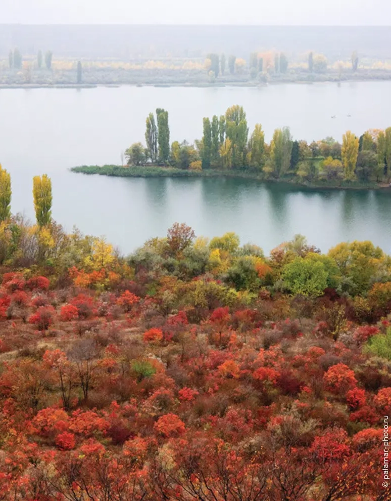 фото А. Паламарь 