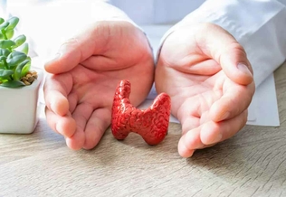 О чем могут говорить отклонения концентрации ТТГ щитовидной железы?