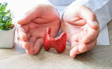 О чем могут говорить отклонения концентрации ТТГ щитовидной железы?