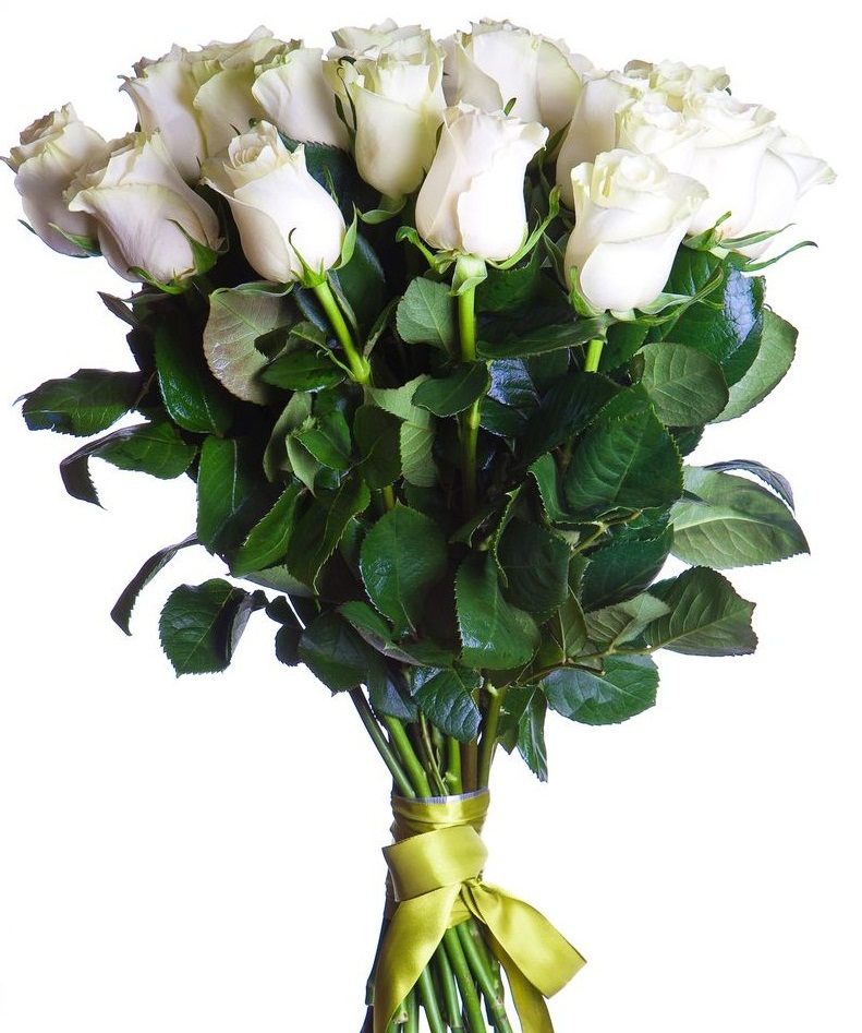 букет голландские розы с доставкой по Петропавловску