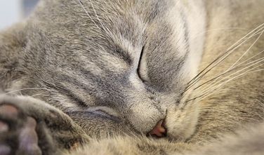 Причины нарушений в почках