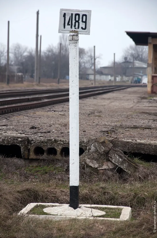 фото А. Юрковского 