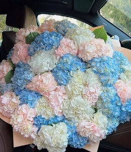 51 Gypsophila flowers Dubai