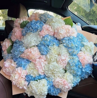 51 Gypsophila flowers Dubai