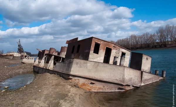фото А. Юрковского 