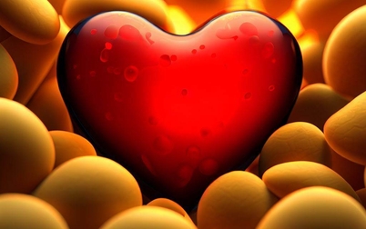 Важная информация для сохранения нормального уровня холестерина 