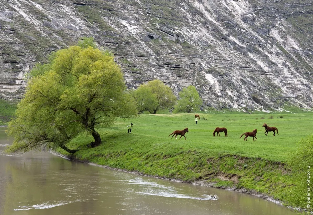 фото А. Паламарь 