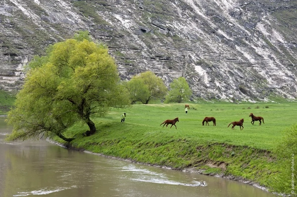 фото А. Паламарь 