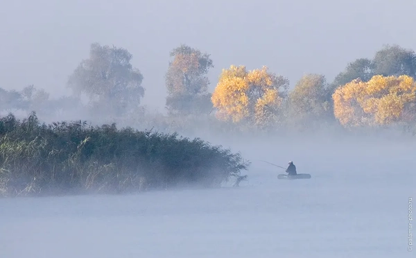 фото А. Паламарь 