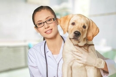 Частые вопросы и ответы о Веториле