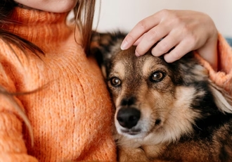  Особенности ухода при ХПН у кошек и собак