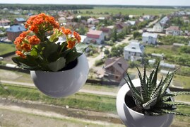 Кашпо на присоске 3