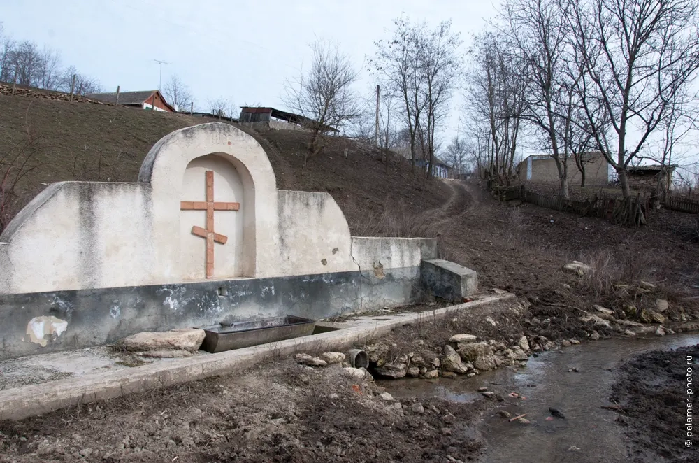 фото А. Паламарь 