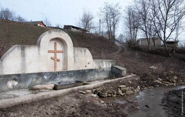 фото А. Паламарь 