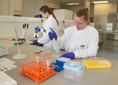 Причины возникновения и симптомы гиперадренокортицизма