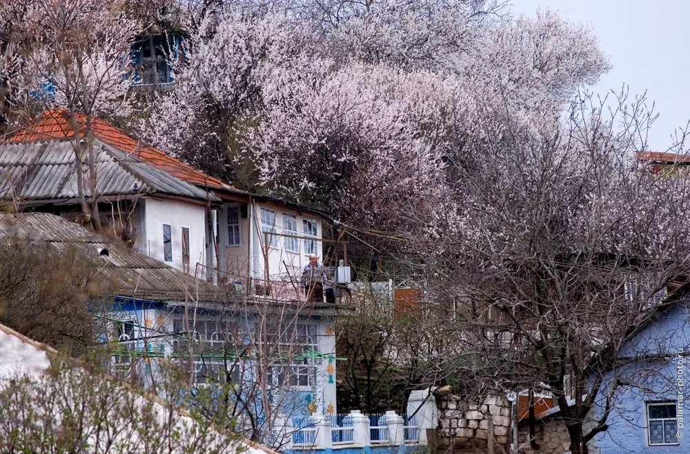 фото А. Паламарь 