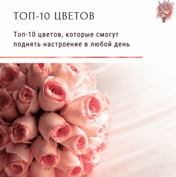 Цветы которые поднимут настроение В Дубаи