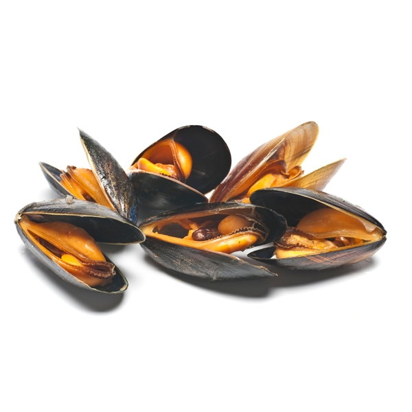 мидии двустворчатые 60/80 чили. мидии на светлом. мидии в раковине в/ м 40/ 60 чил. мидии и устрицы. голубые мидии 40-60 чили.