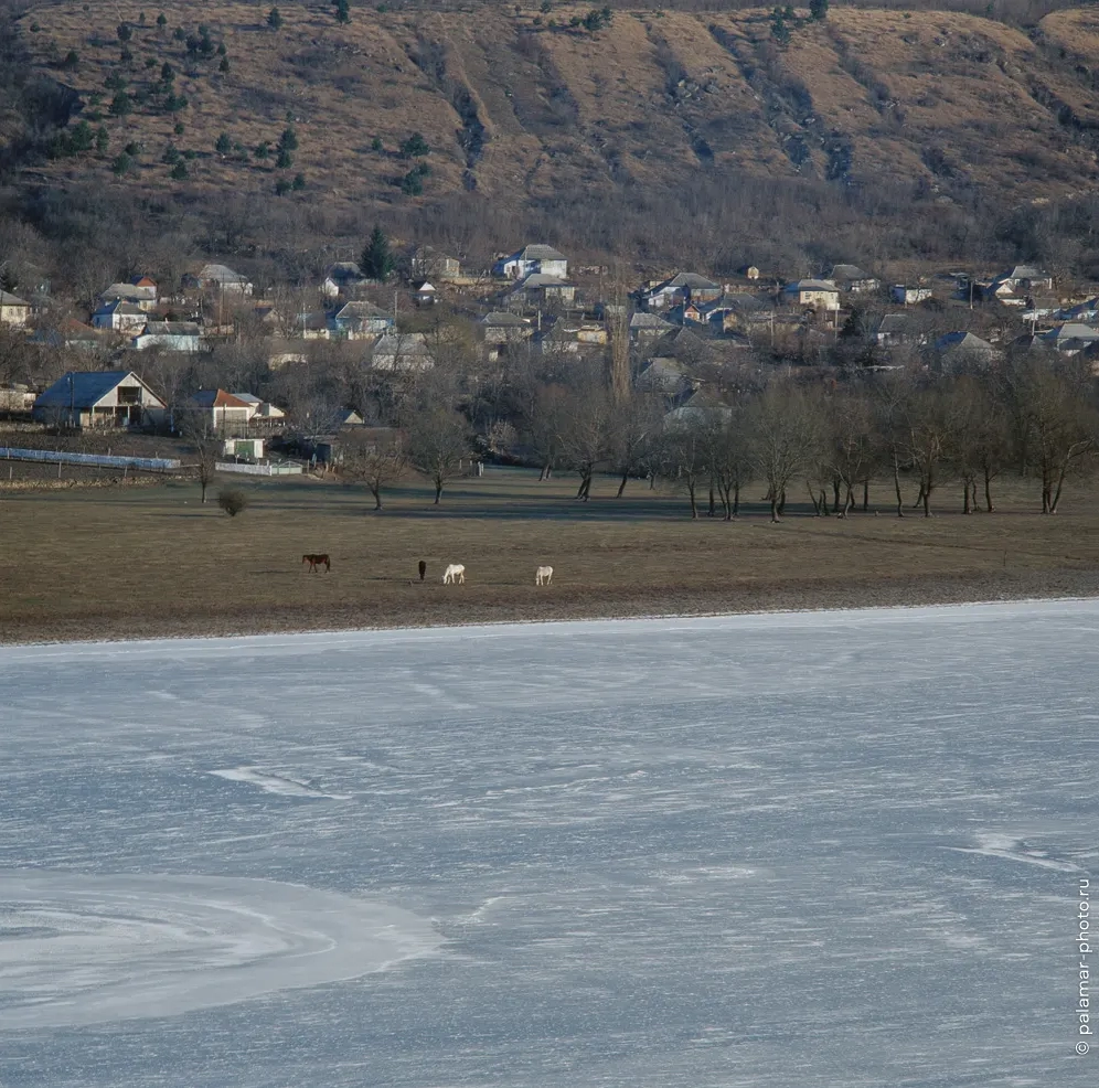 фото А. Паламарь 