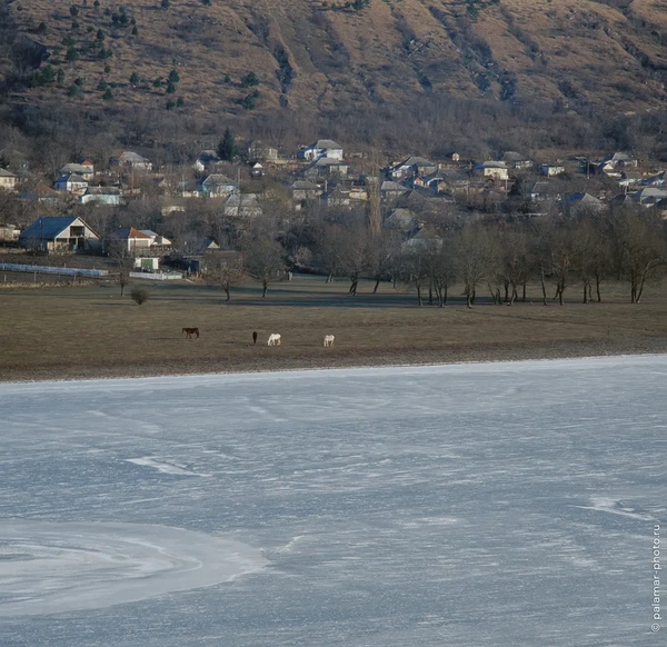 фото А. Паламарь 
