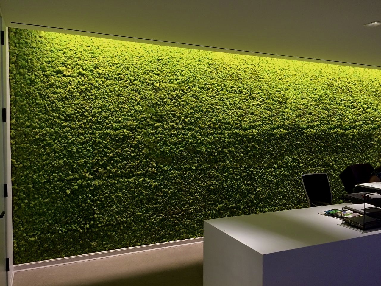 Стена из растений в офисе