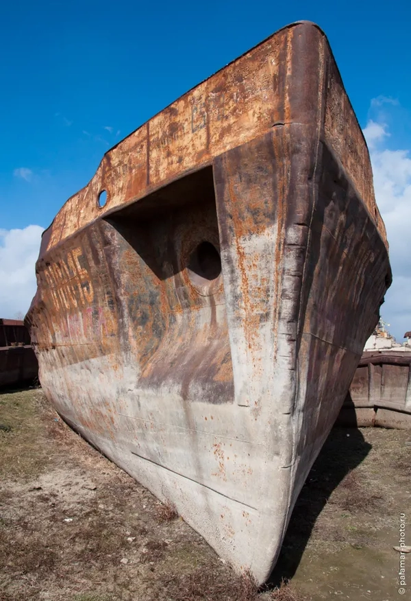 фото А. Юрковского 