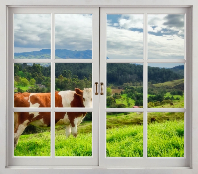 купить окна