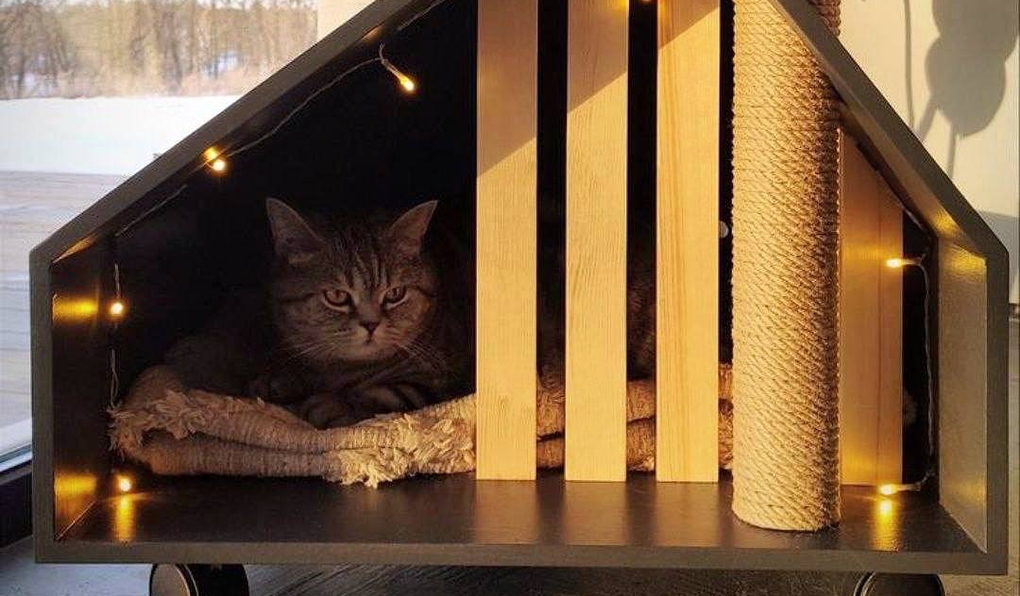 домики для котиков картинки
