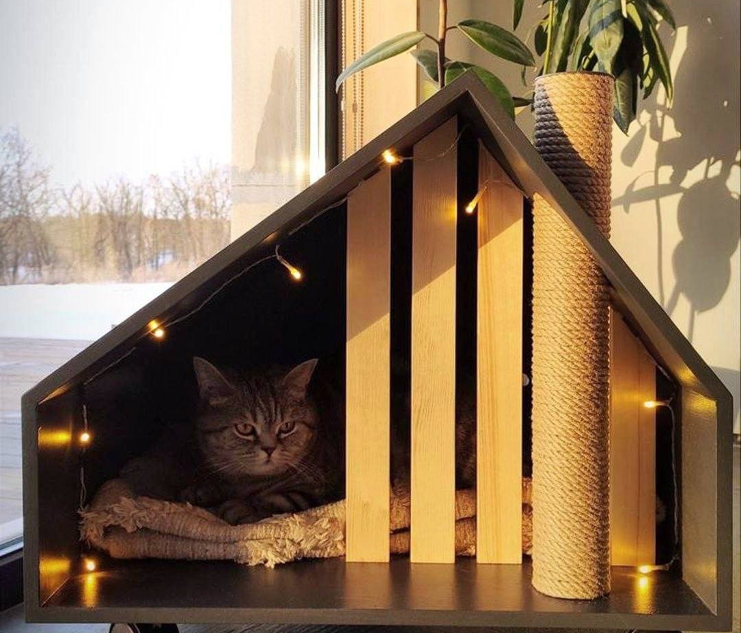 домики для котиков картинки