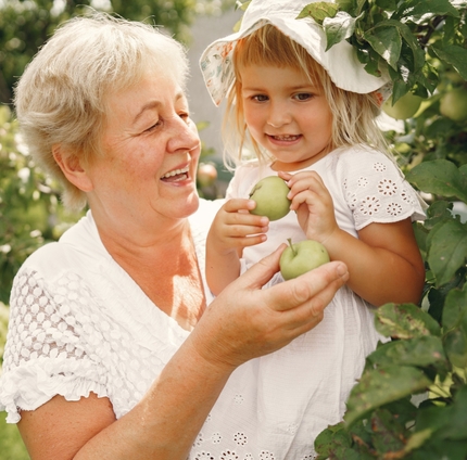Механизм действия препарата Мадопара