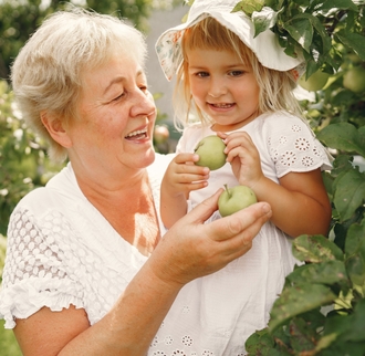 Механизм действия препарата Мадопара