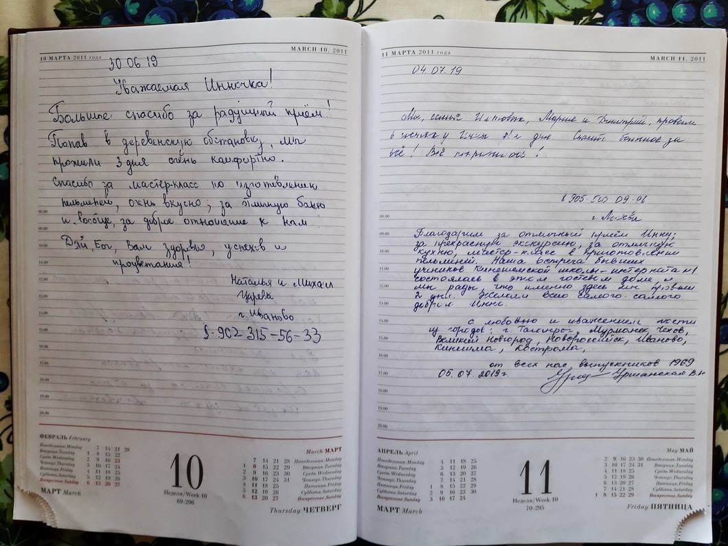 отдых на волге отзывы