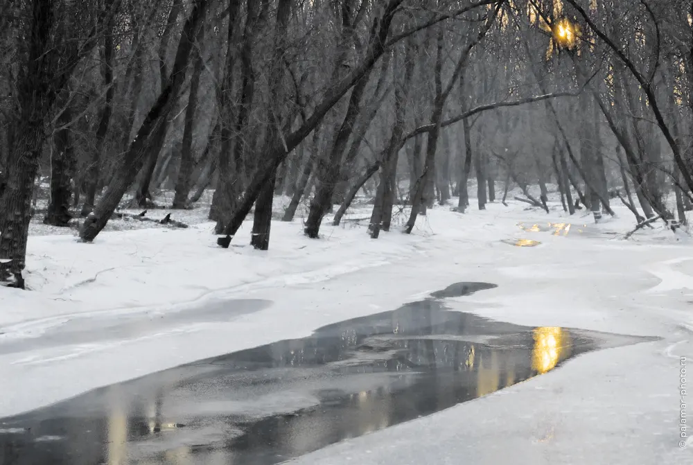 Натюрморт А. Паламарь. Тирасполь