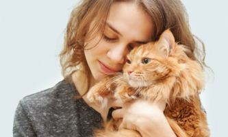 Ипакитине для кошек с ХПН: важный элемент комфортной жизни