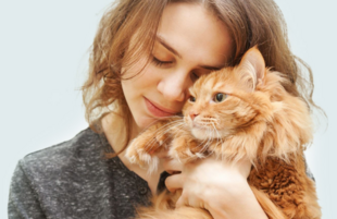 Ипакитине для кошек с ХПН: важный элемент комфортной жизни