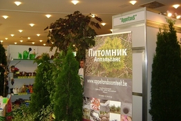 Цветы. Фазенда. Теплицы. Алматы 2010 - фотоальбом выставки