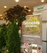 Цветы. Фазенда. Теплицы. Алматы 2010 - фотоальбом выставки