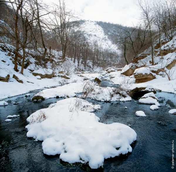 фото А. Паламарь 